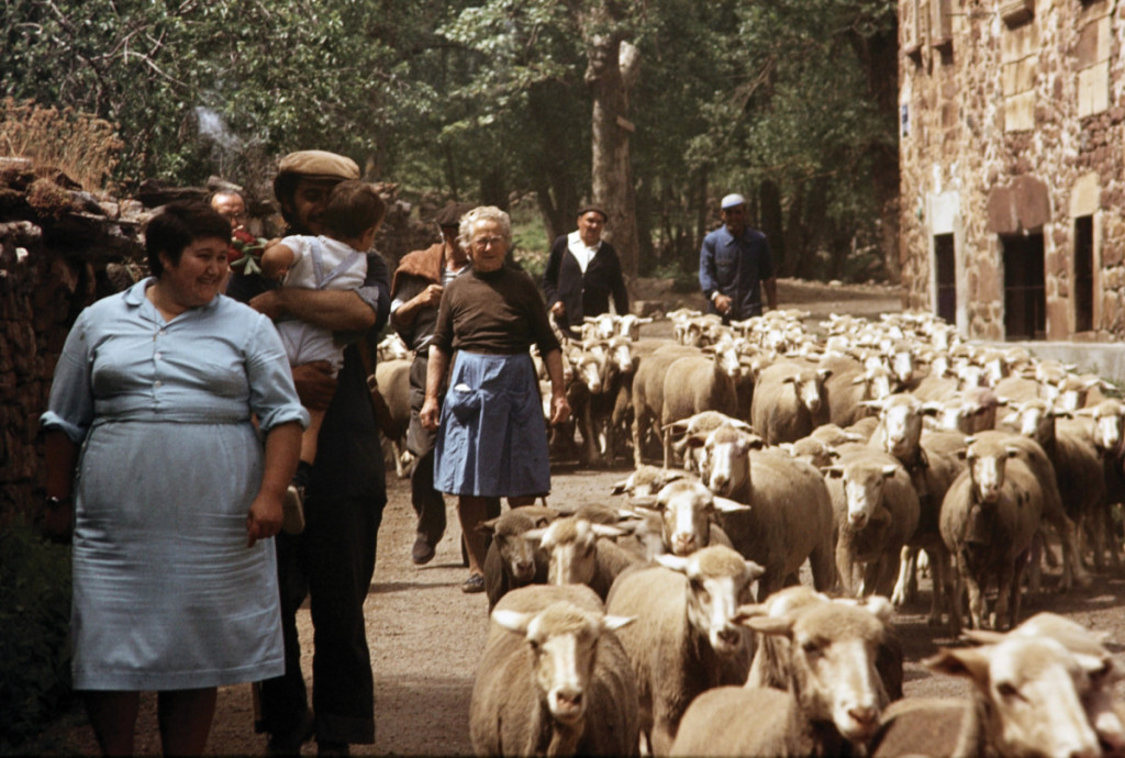 Trashumantes italianos en el Parque Nacional del Abruzzo. Hacia 1940.