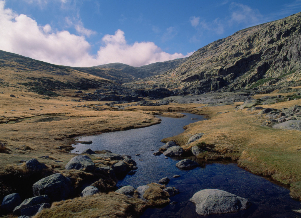 trashumancia_en_gredos-por_que_trashuman